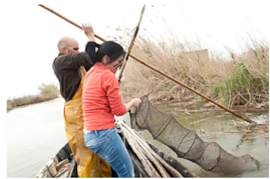 Una dona i un home recollint un mornell des de la barca