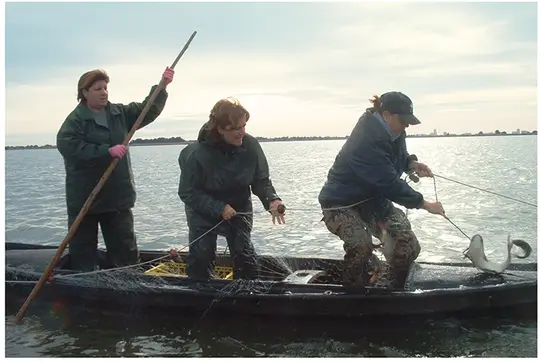 Tres dones pescant en barca a l'Albufera